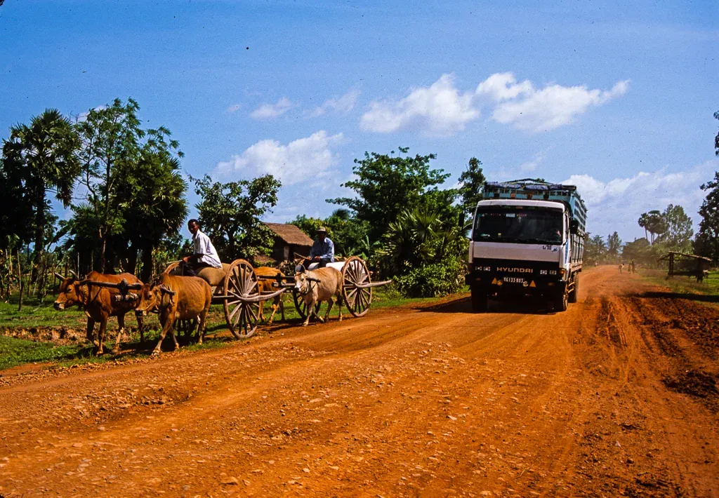 An ox cart on a countryside road
