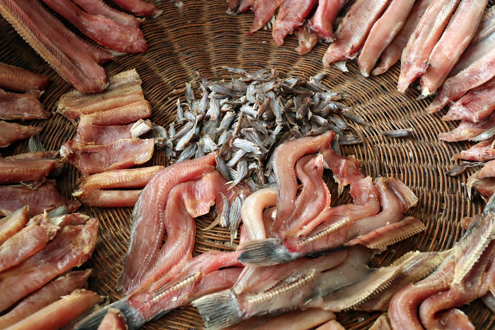 Fish drying in the sun in Kompong Khleang
