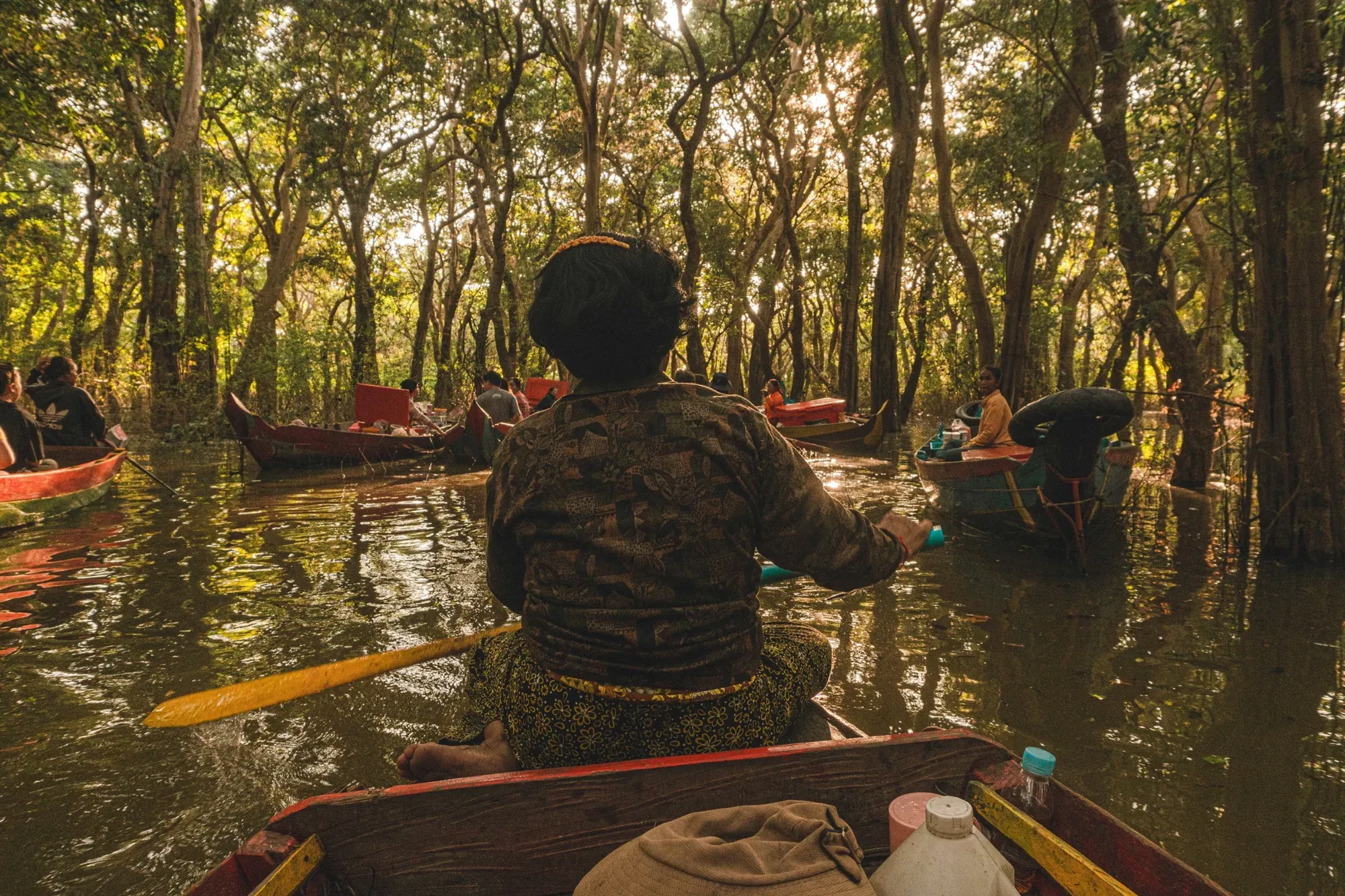 Guests in a rowboat in the flooded forest at Kompong Phluk