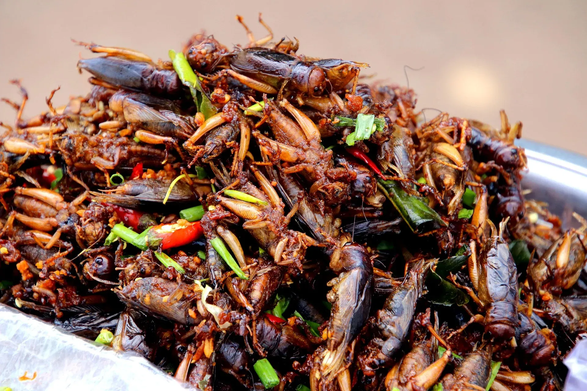 Fried crickets with chilli and spring onion