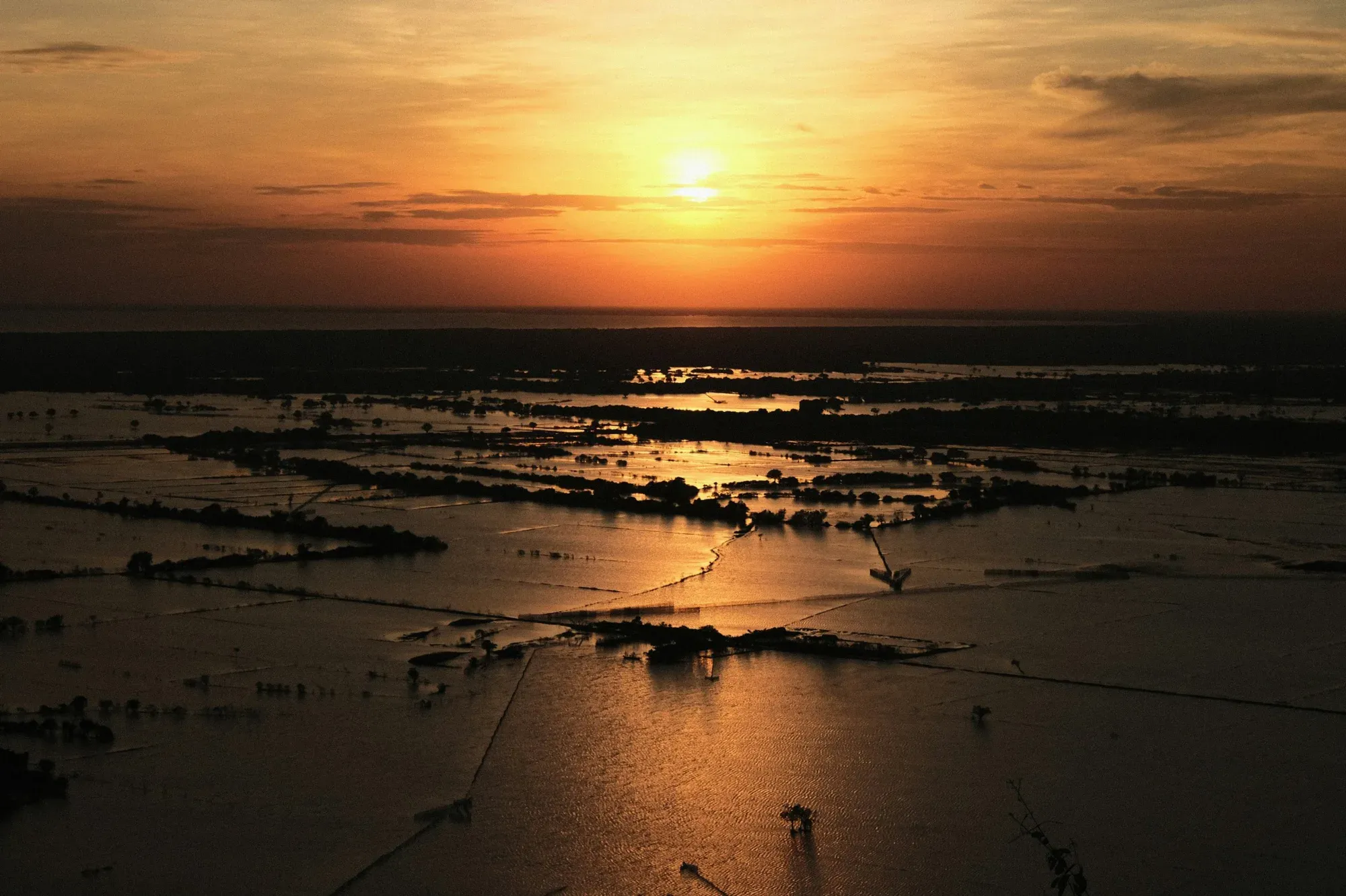 Sunset over the flooded fields and forest at the edge of Tonle Sap Lake